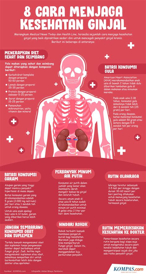 Ilustrasi mengenai pentingnya kesehatan Penyakit Ginjal Akut Tipe Postrenal